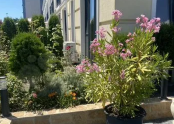 В Сочи продается новая действующая гостиница за 520 млн рублей