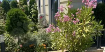 В Сочи продается новая действующая гостиница за 520 млн рублей