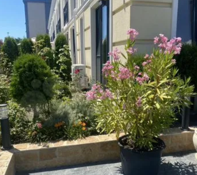 В Сочи продается новая действующая гостиница за 520 млн рублей