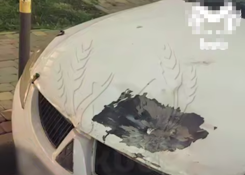 Бросок петарды подросткам в Краснодаре обошелся в 200 тысяч рублей