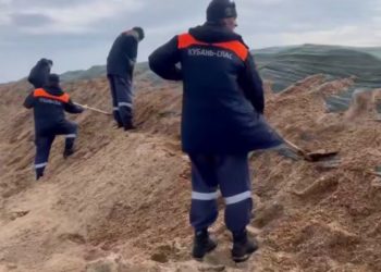 Глава Кубани поздравил спасателей с профессиональным праздником