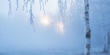 Прогноз погоды на воскресенье и понедельник 21 и 22 декабря на Кубани