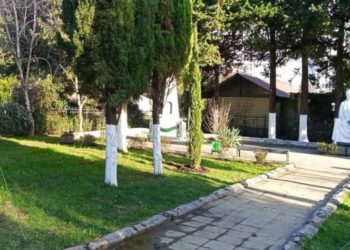 Более 2700 новых растений высадили в Адлерском районе Сочи в 2025 году