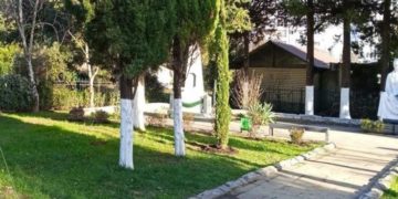 Более 2700 новых растений высадили в Адлерском районе Сочи в 2025 году