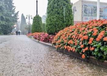 В Сочи ожидаются дожди с грозами 12 и 13 декабря