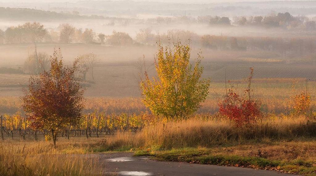 Прогноз погоды на Кубани на пятницу 19 декабря