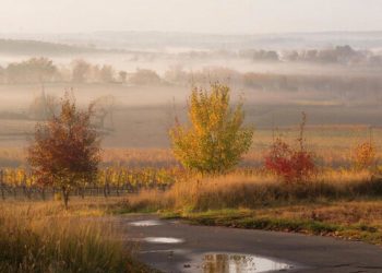 Прогноз погоды на Кубани на пятницу 19 декабря