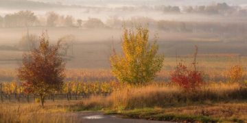 Прогноз погоды на Кубани на пятницу 19 декабря