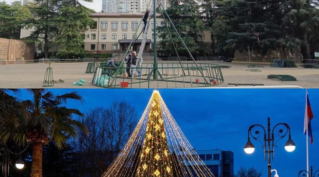 Здравствуй, елка — Новый год! В Сочи собирают главную пушистую красавицу