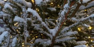 Синоптики обнародовали предварительный прогноз на новогоднюю ночь на Кубани