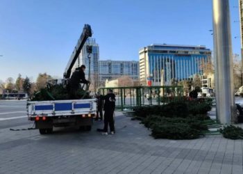 На Главной площади Краснодара начали устанавливать новогоднюю елку