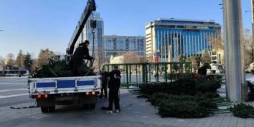 На Главной площади Краснодара начали устанавливать новогоднюю елку