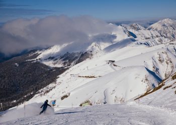 Прошунин: в Сочи отдыхают около 98 тысяч туристов