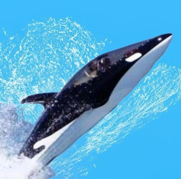 В Сочи продают полуподводную лодку-гидроцикл типа «Касатка» почти за 8 млн