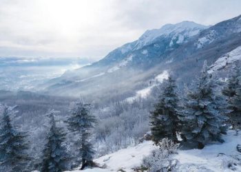 Прогноз погоды на неделю с 15 по 21 декабря в Краснодарском крае