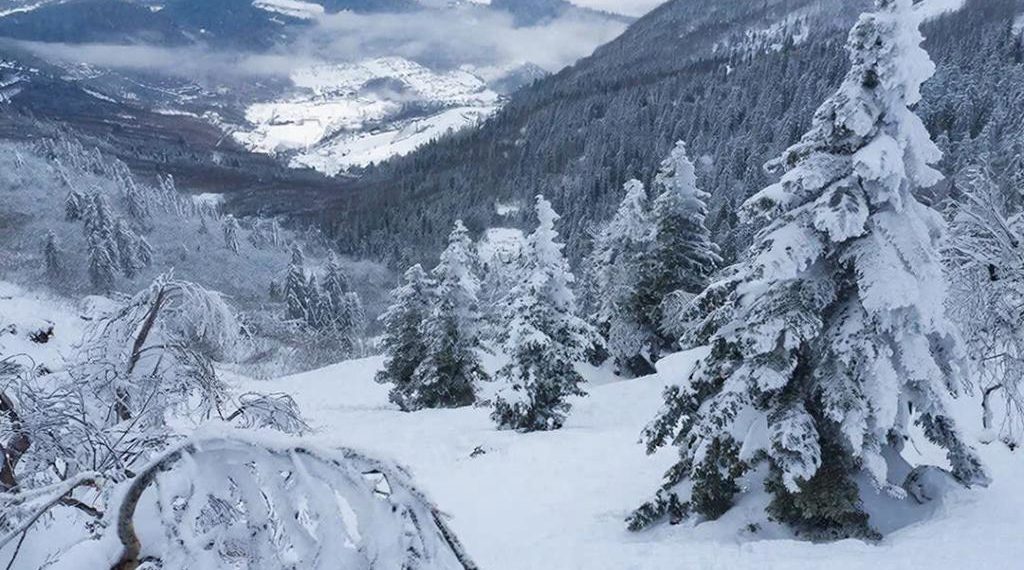 Зимняя погода пришла в Сочи: в горах выпало более полуметра снега