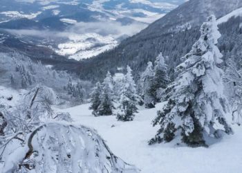 Зимняя погода пришла в Сочи: в горах выпало более полуметра снега