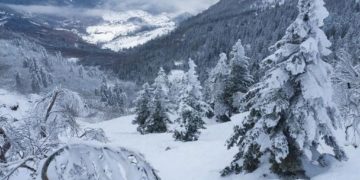 Зимняя погода пришла в Сочи: в горах выпало более полуметра снега