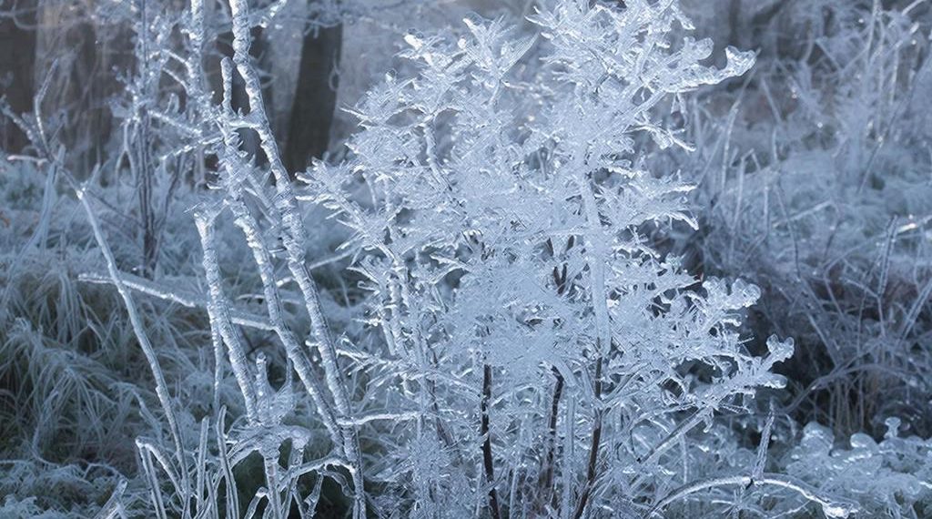 Прогноз погоды на среду 17 декабря в Краснодарском крае