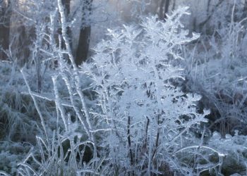 Прогноз погоды на среду 17 декабря в Краснодарском крае