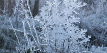 Прогноз погоды на среду 17 декабря в Краснодарском крае