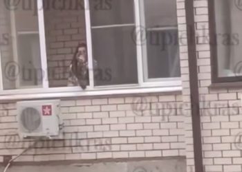 В Краснодаре женщина свесила кошку с балкона и читала ей нотации