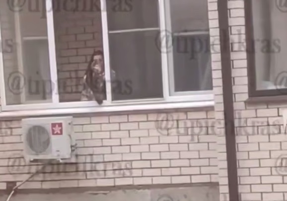 В Краснодаре женщина свесила кошку с балкона и читала ей нотации