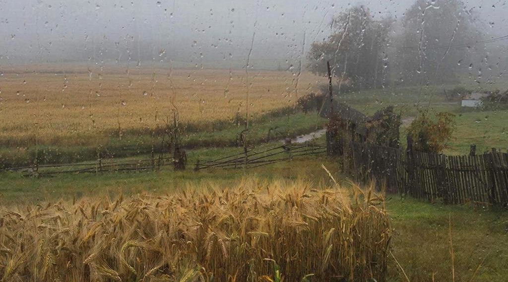 Дожди, туманы и мокрый снег обещают на Кубани в четверг 11 декабря