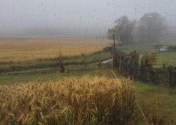 Дожди, туманы и мокрый снег обещают на Кубани в четверг 11 декабря