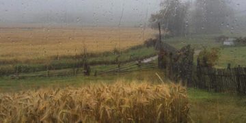 Дожди, туманы и мокрый снег обещают на Кубани в четверг 11 декабря