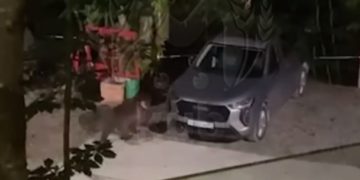 В Сочи медведя сняли на видео и попросили не мочиться на колеса авто