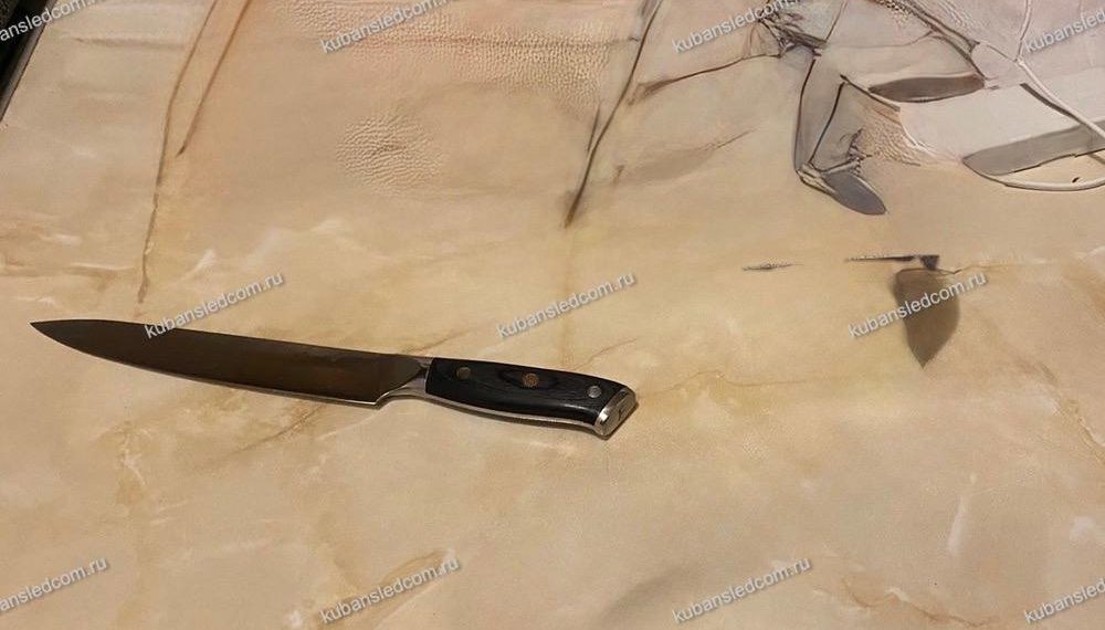 В Краснодаре женщина пойдет под суд за покушение на убийство сожителя