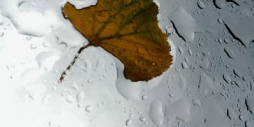 В среду 10 декабря Сочи и край накроет волна ненастья