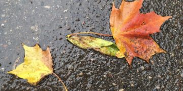 Гидрометцентр поделился прогнозом на понедельник и вторник на Кубани