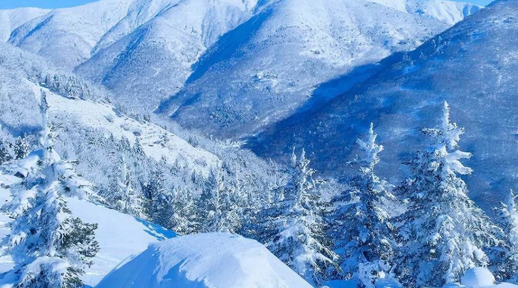 За сутки сугробы в горах Сочи выросли на 40 см