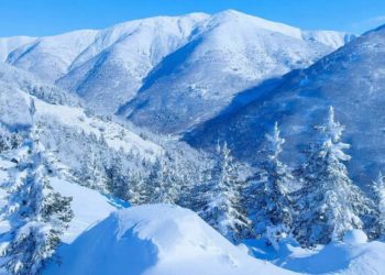 За сутки сугробы в горах Сочи выросли на 40 см