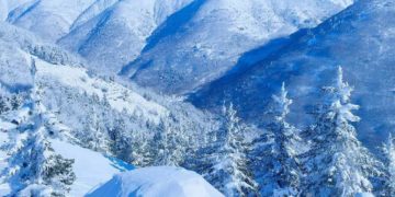 За сутки сугробы в горах Сочи выросли на 40 см