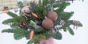 Прогноз погоды на пятницу 26 декабря в Краснодарском крае