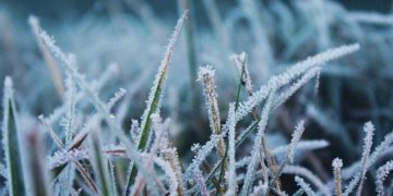 В Сочи ожидаются заморозки и сильный ветер 13 и 14 декабря