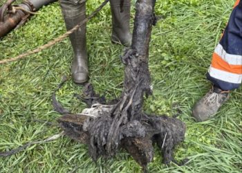 Что скрывает канализация Краснодара? Рабочие извлекли неожиданный артефакт