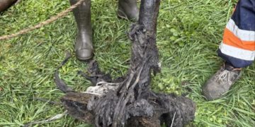 Что скрывает канализация Краснодара? Рабочие извлекли неожиданный артефакт