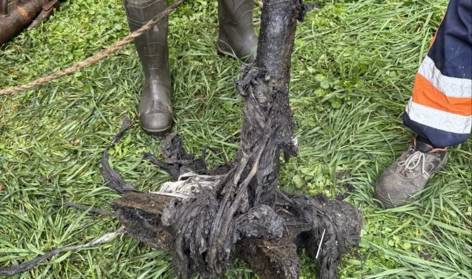 Что скрывает канализация Краснодара? Рабочие извлекли неожиданный артефакт