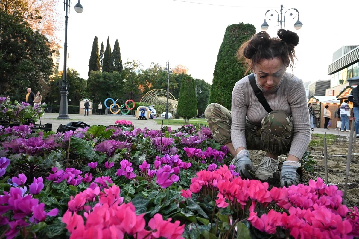В Сочи высадят более 200 тысяч цветов и растений осенне-зимнего ассортимента