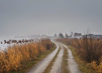 Потрясающий прогноз погоды для Кубани на 4 и 5 декабря