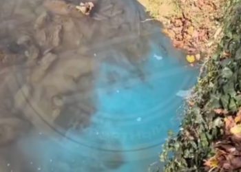 В реку в Сочи сливают голубую жидкость