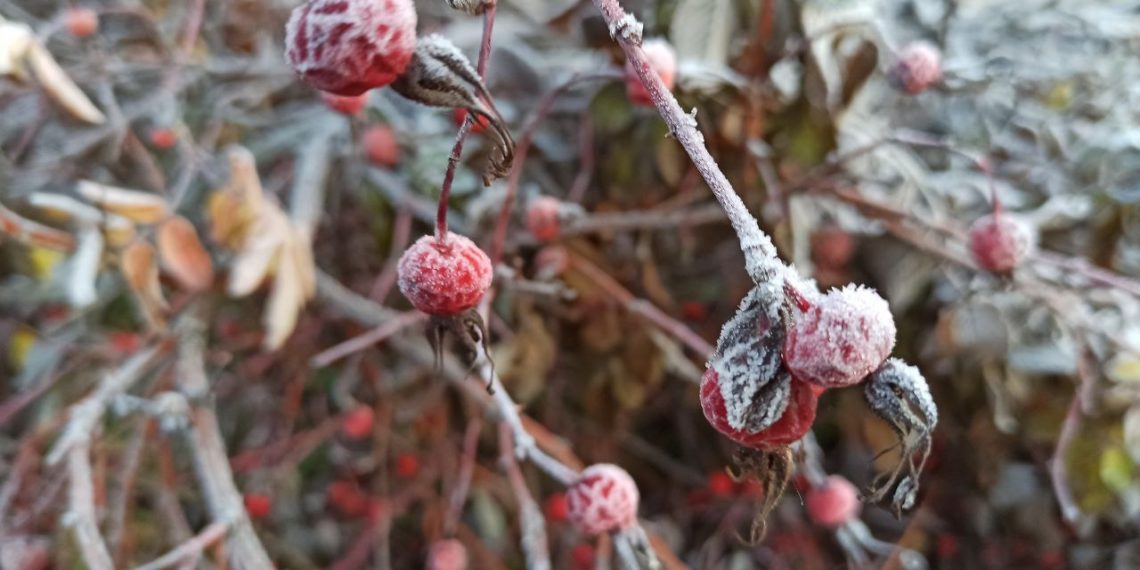 Синоптик Шувалов: Резкое похолодание из центра России докатится до Кубани