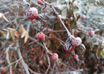 Синоптик Шувалов: Резкое похолодание из центра России докатится до Кубани