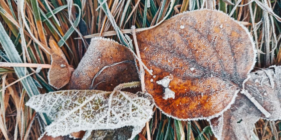 Первое зимнее похолодание пришло на Кубань
