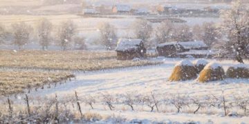 Синоптики назвали дату первого снега в Краснодарском крае