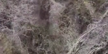 Оползень сошел на жилой сектор в Сочи в канун Нового года